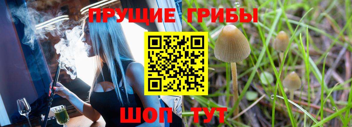 Малоярославец  Псилоцибиновые грибы Magic Shrooms  Вход с VPN  Псилоцибиновые грибы Psilocybine cubensis 